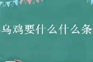 养乌鸡要什么什么条件下养殖