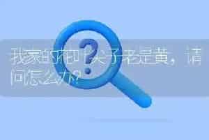 我家的花叶尖子老是黄,请问怎么办?