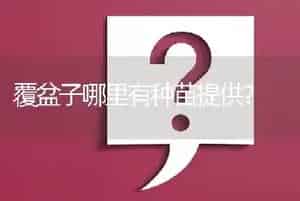 覆盆子哪里有种苗提供?