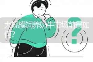 大规模饲养奶牛市场前景如何?