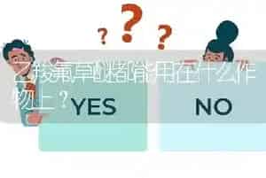 乙羧氟草醚都能用在什么作物上?