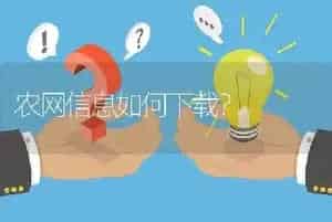 农网信息如何下载?
