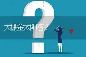 大棚金太阳杏?