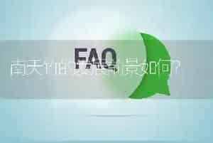 南天竹的发展前景如何?