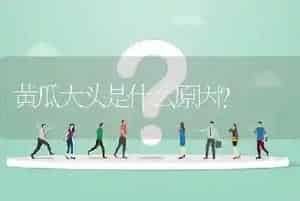 黄瓜大头是什么原因?