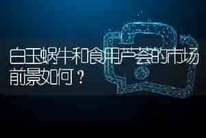 白玉蜗牛和食用芦荟的市场前景如何?