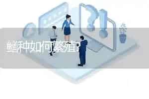 鳝种如何繁殖?