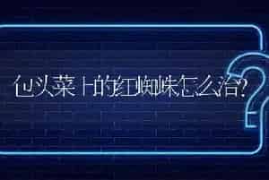 包头菜上的红蜘蛛怎么治?