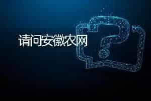 请问安徽农网                                                                    ?