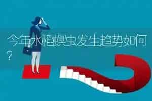 今年水稻螟虫发生趋势如何?
