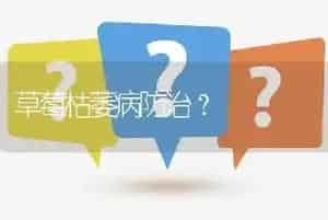 草莓枯萎病防治?