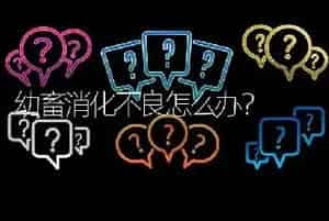 幼畜消化不良怎么办?