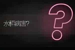 夏季蓝莓叶片有红点?