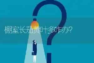 棚室长茄黄叶多咋办?