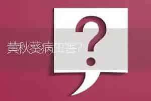 黄秋葵病虫害?