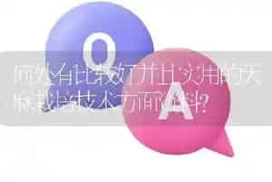 香樟籽的出土情况?