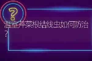 温室芹菜根结线虫如何防治?