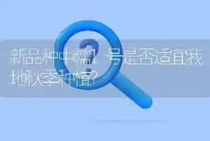 新品种中糯1号是否适宜我地秋季种植?