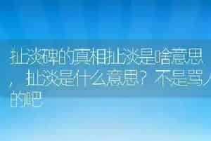 扯淡碑的真相扯淡是啥意思