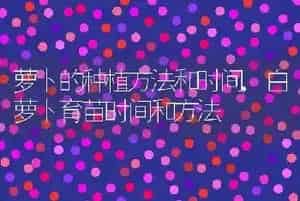 萝卜的种植方法和时间