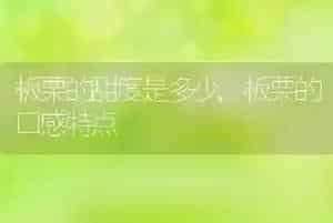 板栗的甜度是多少
