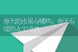 春天的水果有哪些