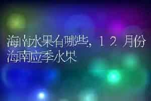 海南水果有哪些