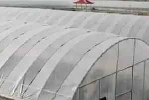拆除违建农业大棚标准