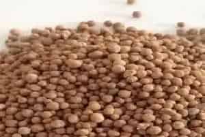 氮磷钾使用先后顺序