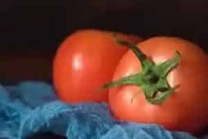 冷凉蔬菜种植注意事项