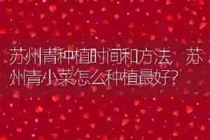 什么狗最好养