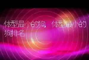 体型最小的狗