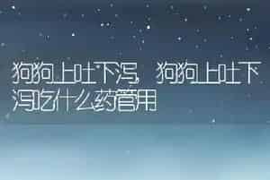 狗狗上吐下泻