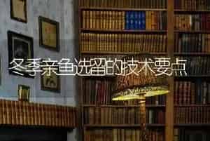鹌鹑养殖笼摆放注意事项