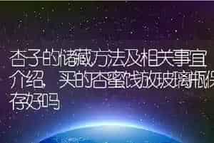 杏子的储藏方法及相关事宜介绍