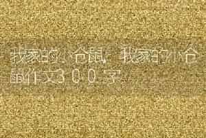 我家的小仓鼠