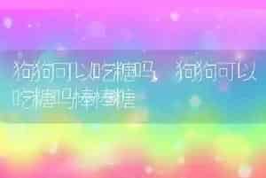狗狗可以吃糖吗