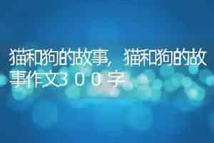 猫和狗的故事