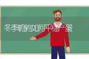 冬季鹌鹑如何平稳产蛋