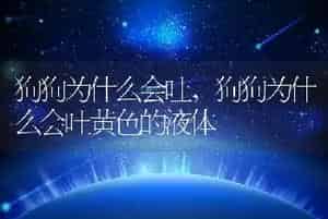 狗狗为什么会吐