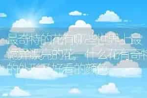 最奇特的花有哪些世界上最诡异漂亮的花