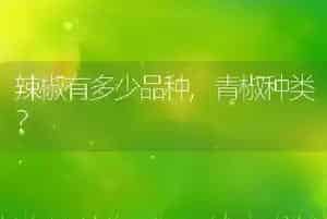 狗为什么要断尾
