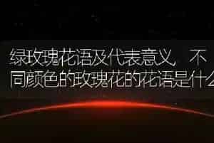 绿玫瑰花语及代表意义
