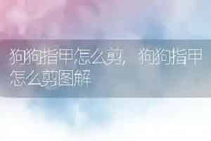 狗狗指甲怎么剪