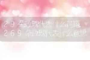 29朵玫瑰代表什么花语