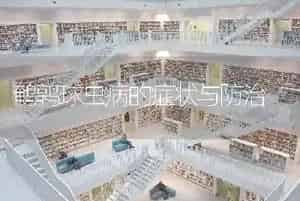 鹌鹑球虫病的症状与防治