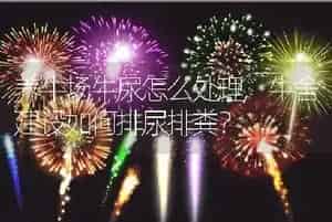 养牛场牛尿怎么处理