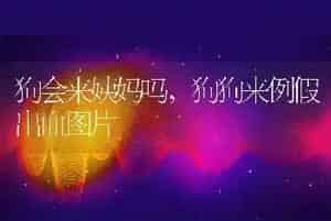 狗会来姨妈吗