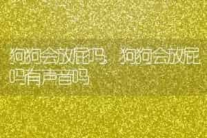 狗狗会放屁吗