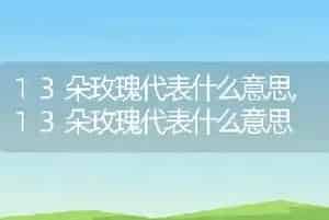 鹦鹉鱼怎么分公母